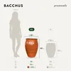 Donica ogrodowa duża Provencelia BACCHUS, mrozoodporna, Podgląd zdjęcia produktu 2