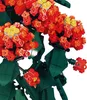 Bausteine Gewöhnliche Lantana, KOMPATIBEL MIT LEGO, BLUMEN Produktbild-Vorschau 3