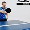 Tavolo da ping pong con set di reti, 2 racchette e palline Anteprima dell’immagine prodotto 6