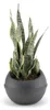 Bama Sfera Bloempot 23L 40.5x32 cm Antraciet Anteprima dell’immagine prodotto 3