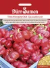 Tomatenpaprika Szuszanna | Tomatenpaprikasamen von Dürr Produktbild-Vorschau 4