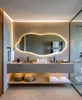 A modern bathroom vanity with a large, organically shaped mirror with integrated LED lighting. Náhľad obrázku produktu