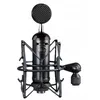 Blue Microphones Blackout Spark SL XLR Condenser Mic, Náhled obrázku produktu 2