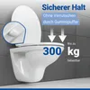 WENKO WC-Sitz Mod. Ostuni, belastbar mit 300 kg, Produktbild-Vorschau 2