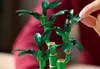 LEGO® Botanicals 10344 Glücks-Bambus Produktbild-Vorschau 33