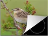 KitchenYeah© Herdabdeckplatte Ein bunter Spatz in einem Produktbild-Vorschau 1