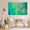 MuchoWow® Poster Schmetterling - Gras - Licht 120x80 cm - Produktbild-Vorschau 6