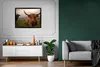 MuchoWow® Gerahmtes Poster Schottischer Highlander - Tiere Produktbild-Vorschau 6