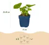 Vasteplant - Borderpakket - Wit - Diversen - Soorten en Voir les images du produit 3