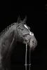Covalliero Zaumzeug Cancun Pony Schwarz Produktbild-Vorschau 10