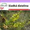 SAFLAX - sladká ďatelina - Melilotus officinalis - 250 Náhľad obrázku produktu 11
