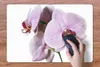 MuchoWow® Schreibtischunterlage Rosa Orchideenblüte 60x40 Produktbild-Vorschau 3