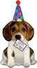 Shape Folienballon "Happy Birthday" Hundebaby" | 104 cm Produktbild-Vorschau 1