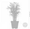3x Luftreinigungskörbe Mix – Luftreinigung – ⌀12 cm - Produktbild-Vorschau 7