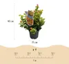 GreenboutiQ - Gartenpflanze - Leucothoe Curly Gold - Gelb - Produktbild-Vorschau 3