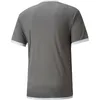 Puma Teamliga Trikot Kurzarm Kinder - Grau / Weiß Produktbild-Vorschau 2