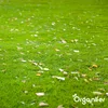 Eisensulfatdünger - Moosentferner - 5kg - für 250m2- Produktbild-Vorschau 6
