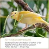 Supravit Kanarienfutter ohne Rübsen 5kg | Vogelfutter für Produktbild-Vorschau 5