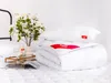 A neatly folded duvet and pillow are displayed on a bed, with a vase of flowers and a glass of water on a tray nearby. Produktbild-Vorschau