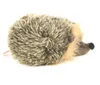 Igel, 15 cm, Plüsch Produktbild-Vorschau 6