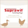 Supravit Wachtelfutter 5kg | Vollwertige Körnermischung für Produktbild-Vorschau 8