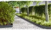 vidaXL Bordatura per prato 20 pezzi Antracite 100 x 0,05 x Anteprima dell’immagine prodotto 3