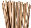 UNUS Bambusstäbe, 25 Pflanzstäbe aus Bambus, 120 cm lang, Produktbild-Vorschau 10