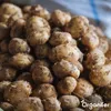 -Saatkartoffeln Vitabella A 28/35 (5 kg) - Organifer Produktbild-Vorschau 8