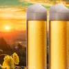 IMPERIAL Kölschgläser aus Glas Set 12-Teilig 200ml (max. Produktbild-Vorschau 6