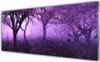 Acrylglasbilder 125x50 Wandbild Druck Bäume Natur Produktbild-Vorschau 1