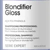 L'Oreal Professionnel, Serie Expert Blondifier Gloss, Acai Anteprima dell’immagine prodotto 4