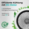Close-up of a fan with promotional text and green leaves in the background. Produktbild-Vorschau