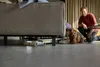 A woman is looking under a couch while a man watches and smiles. Anteprima dell’immagine prodotto