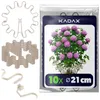 KADAX Supporti per piante perenni rotondi Ø 21 cm, set da Anteprima dell’immagine prodotto 1
