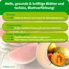 Purgrün -Melonen-Dünger 1 Liter, Produktbild-Vorschau 3
