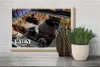 Holzschild Reise Wien Österreich Technisches Museum 30x20cm Produktbild-Vorschau 4