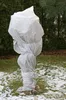 A plant wrapped in white winter protection fleece, standing in a garden with snow on the ground. Náhľad obrázku produktu