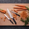 ZWILLING Spick- und Garniermesser 10 cm Produktbild-Vorschau 9