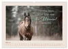 Pferdepoesie - Augenblicke voller Seele (Wandkalender 2027 Produktbild-Vorschau 8