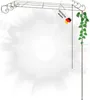 A metal pergola with a vine growing on it, set against a bright, abstract background. Produktbild-Vorschau