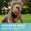 Supravit Hundenassfutter mit Pferd 12 x 410g Dosen | Produktbild-Vorschau 4