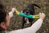 Ruffwear Pacific Loop Spielzeug Aurora Teal Produktbild-Vorschau 10