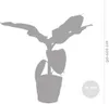 Bloomique - Musa Dwarf Cavendish - Bananenpflanze - Produktbild-Vorschau 5