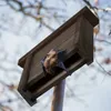 Relaxdays Fledermauskasten, Unterschlupf für Fledermäuse, Produktbild-Vorschau 3
