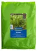 Kiepenkerl Saatgut Rübsen Brassica rapa var. silvestris 1 Produktbild-Vorschau 2