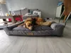 A dog is resting on a dog bed in a living room. Anteprima dell’immagine prodotto