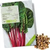 Mangold Samen (Rhubarb, 25 Korn) - Mangold Saatgut aus . Produktbild-Vorschau 1