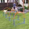 PawHut Hunde-Agility-Trainingsgeräte, Hund Agility Set, Produktbild-Vorschau 8