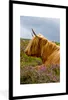 MuchoWow® Gerahmtes Poster Schottische Highlander - Blumen Produktbild-Vorschau 1