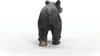 Schleich Wild Life         14869 Amerikanischer Schwarzbär Produktbild-Vorschau 7